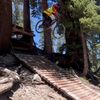 bikeislife2390