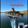 cantus_fishing