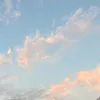 username92693