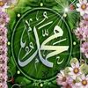user312330260