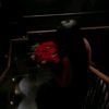 cherry2266887