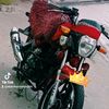 asilefayiz