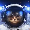 thecatfromspace