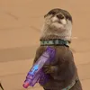 fswlve