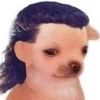 ratatouilleprincess