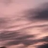 whosangelgirl