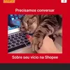 fabiolalancini