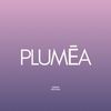 plumea_by_katplum