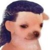 proximusnano