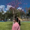 evanariela