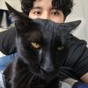 nomitogamer