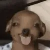 denvercloud