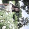 qprinzlyn