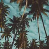 edgarjava