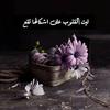 wafaaahmed7069