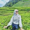 _mirnaa_01