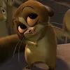 khong_aicho