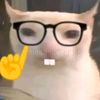 dimzz_pengen_imo