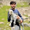 imad_khan_19
