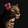 saliima_lm
