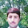 gulfiqar