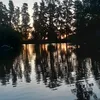 user319810600