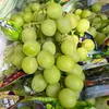 maroonfruits