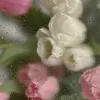 jmgdp_