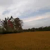 levanquoc2000