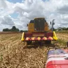 agro_ritina