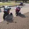 musskeinerwissenbinda