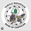 chippewa88cheetah