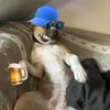 cynnsq1