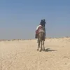 yazterry5