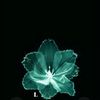 its_ghaaazi99