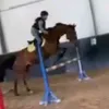 nadia__equestrian