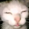 jetgfml