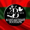 belka_pmr
