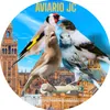aviario_jc_