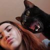 shadowkitties