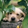 nancyalvarado268
