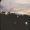 afifa_926