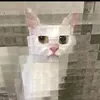 laputaqetpario