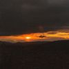 llanos__robin