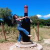 user136790lm570