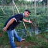 heri.wibowo.89