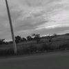 mj_526828272