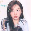 fanygarridool