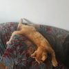 hunk_2.0.1.9