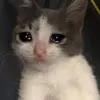 dndn99dndn99